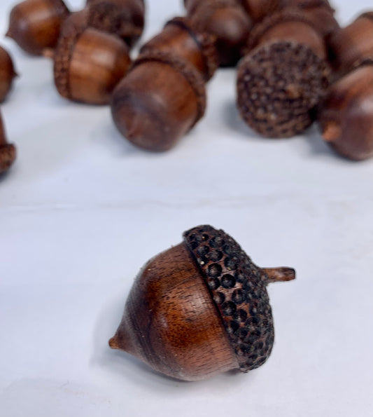 Black Walnut Acorns