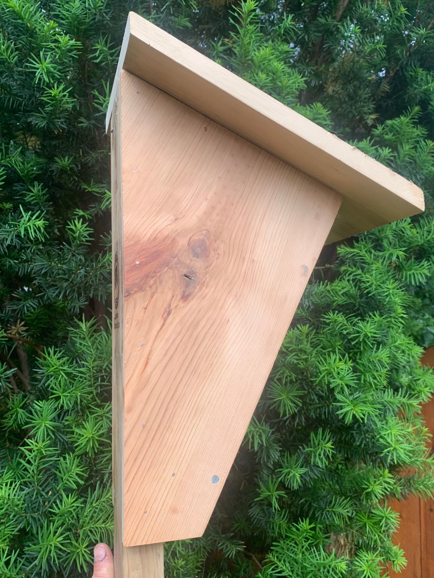 Bluebird House