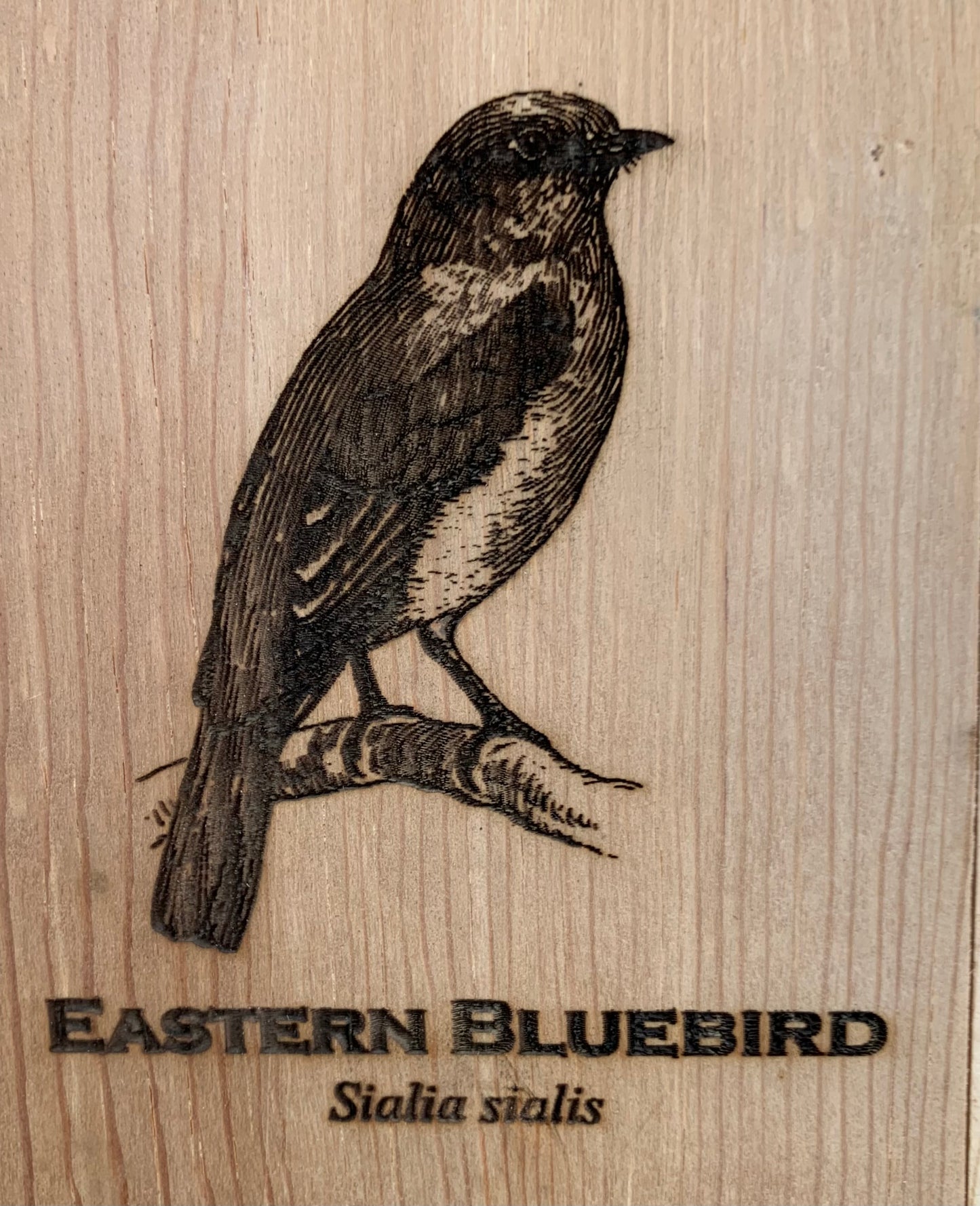 Bluebird House