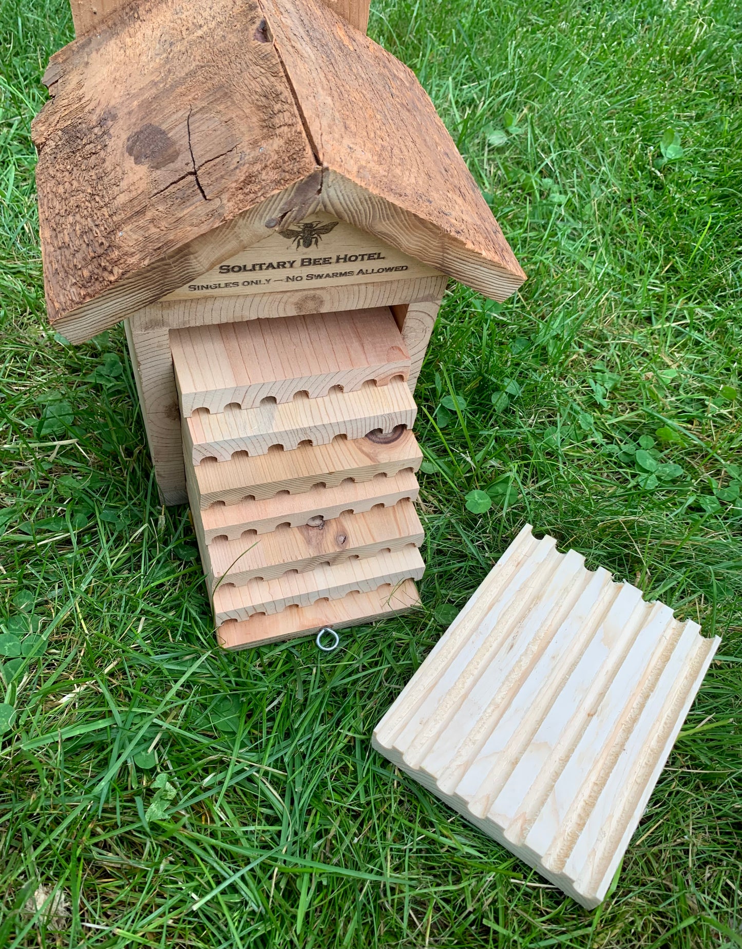 Solitary Bee House